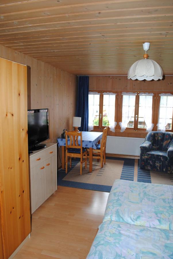 Studio Glaus Apartment Wilderswil Luaran gambar