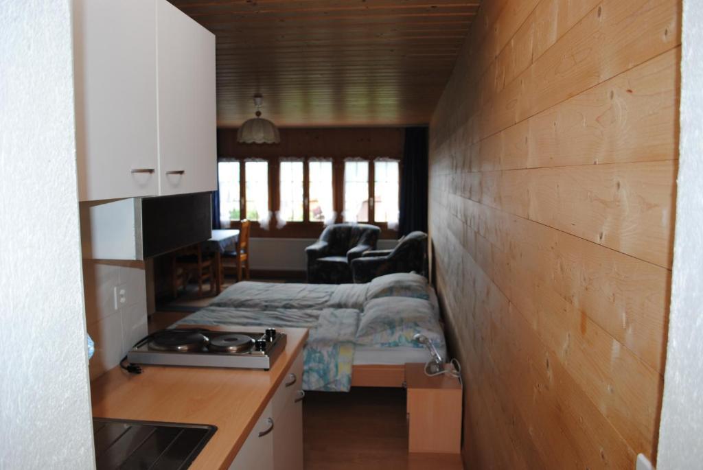 Studio Glaus Apartment Wilderswil Bilik gambar