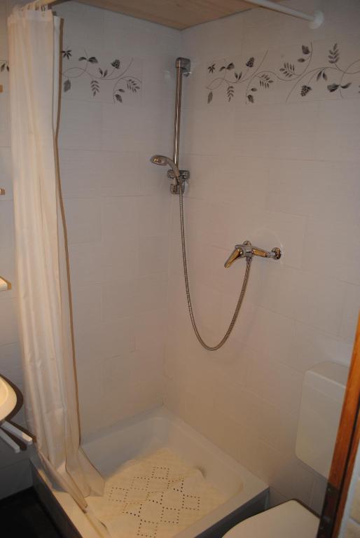 Studio Glaus Apartment Wilderswil Bilik gambar