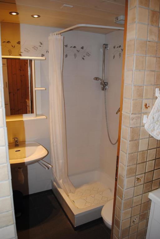 Studio Glaus Apartment Wilderswil Bilik gambar