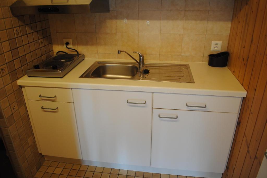 Studio Glaus Apartment Wilderswil Bilik gambar