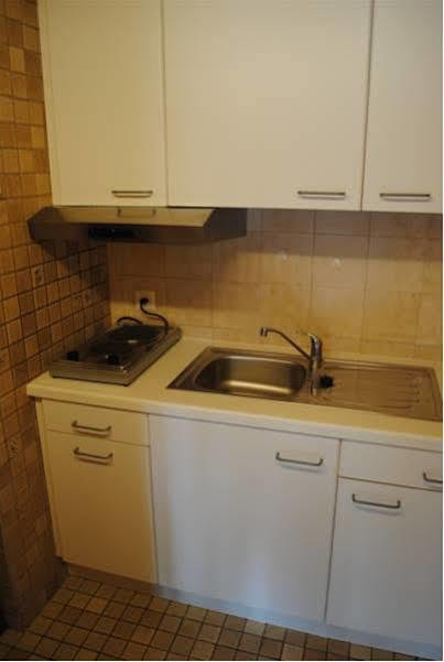 Studio Glaus Apartment Wilderswil Luaran gambar